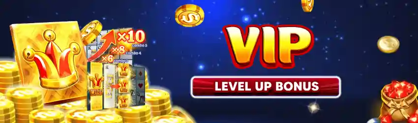 VIP bonus